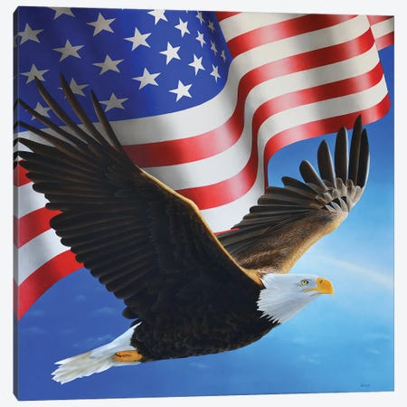 American Eagle And Flag Canvas Print #SLZ1} by John Salozzo Canvas Art Print