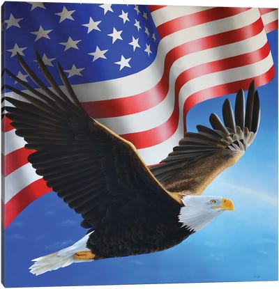 American Eagle And Flag Canvas Art Print - Eagle Art