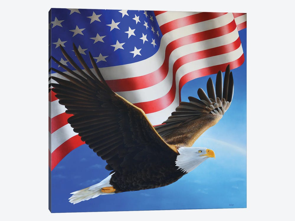 American Eagle And Flag by John Salozzo 1-piece Canvas Art