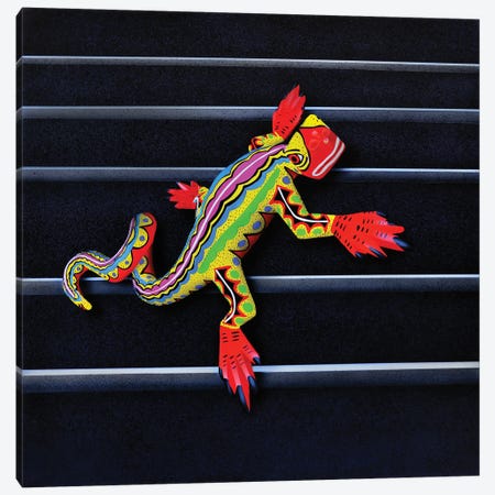 Lizard II Canvas Print #SLZ24} by John Salozzo Canvas Artwork