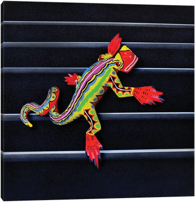 Lizard II Canvas Art Print - John Salozzo