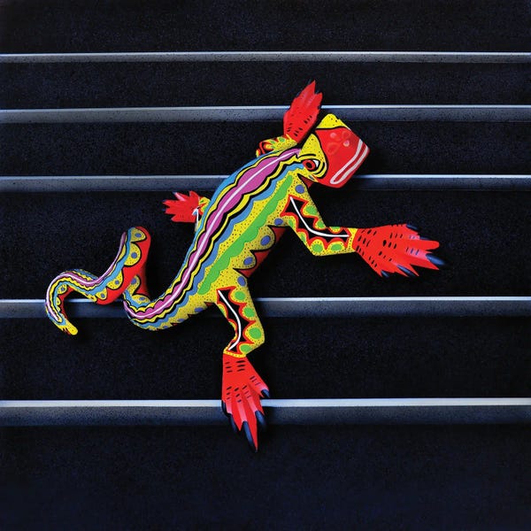 Lizards: Lizard II by John Salozzo