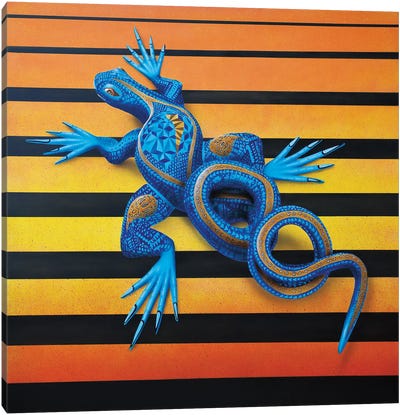 Lizard I Canvas Art Print - John Salozzo
