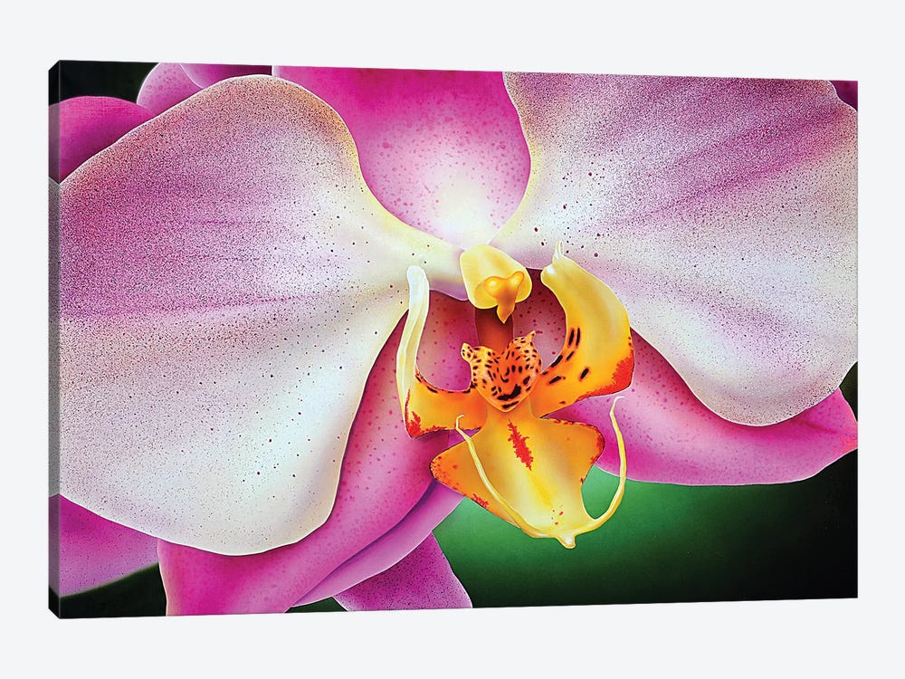 Orchid by John Salozzo 1-piece Art Print