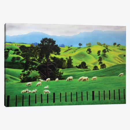 Sheep Canvas Print #SLZ35} by John Salozzo Canvas Art Print