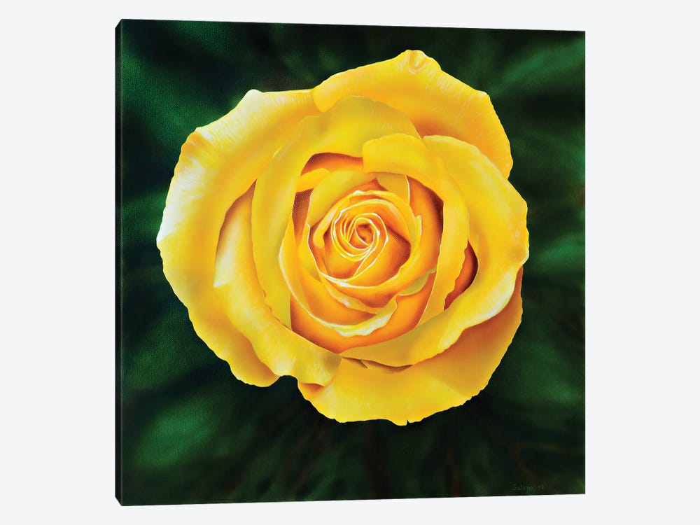 Yellow Rose by John Salozzo 1-piece Canvas Art Print