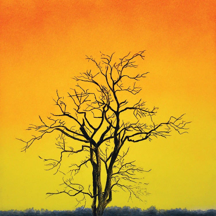 Sunrise Tree