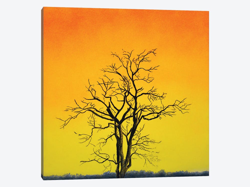 Sunrise Tree by John Salozzo 1-piece Art Print