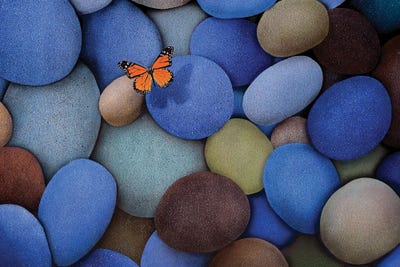 Blue Stones And Butterfly by John Salozzo framed canvas print
