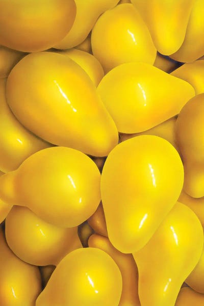 Yellow Cheery Tomatoes by John Salozzo framed wall art