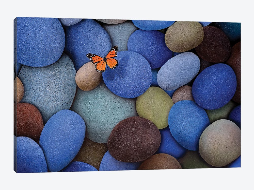 Blue Stones And Butterfly by John Salozzo 1-piece Art Print