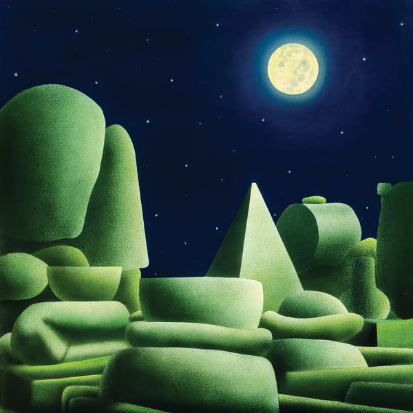 Surrealism: Fantasy Garden by John Salozzo