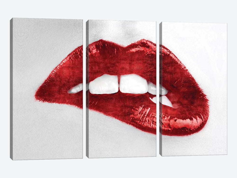 Luscious Red by Sarah McGuire 3-piece Canvas Artwork