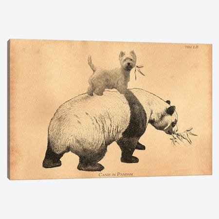 Westie Panda Canvas Print #SMD109} by Tea Stained Madness Canvas Print