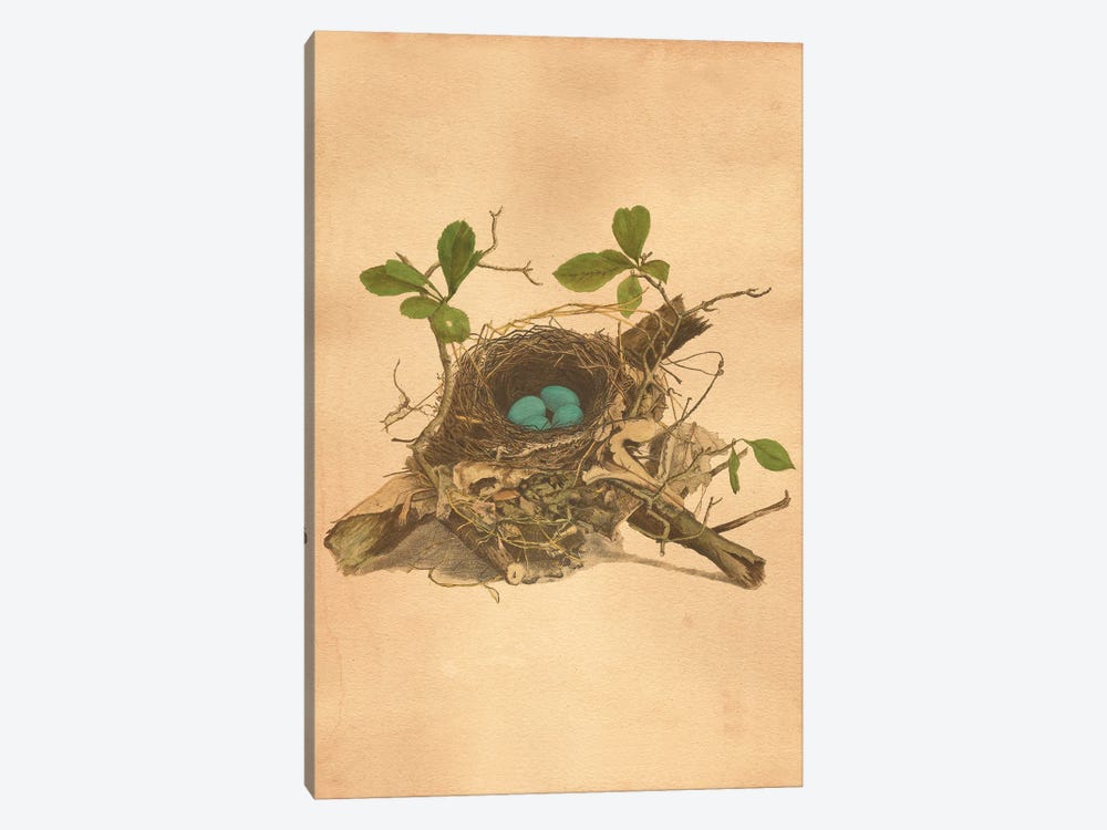 Bird's Nest by Tea Stained Madness 1-piece Art Print