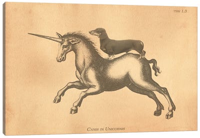 Black Dachshund Unicorn Canvas Art Print - Tea Stained Madness