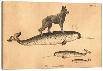 Black German Shepherd Narwhal Canvas Art Print - Tea Stained Madness