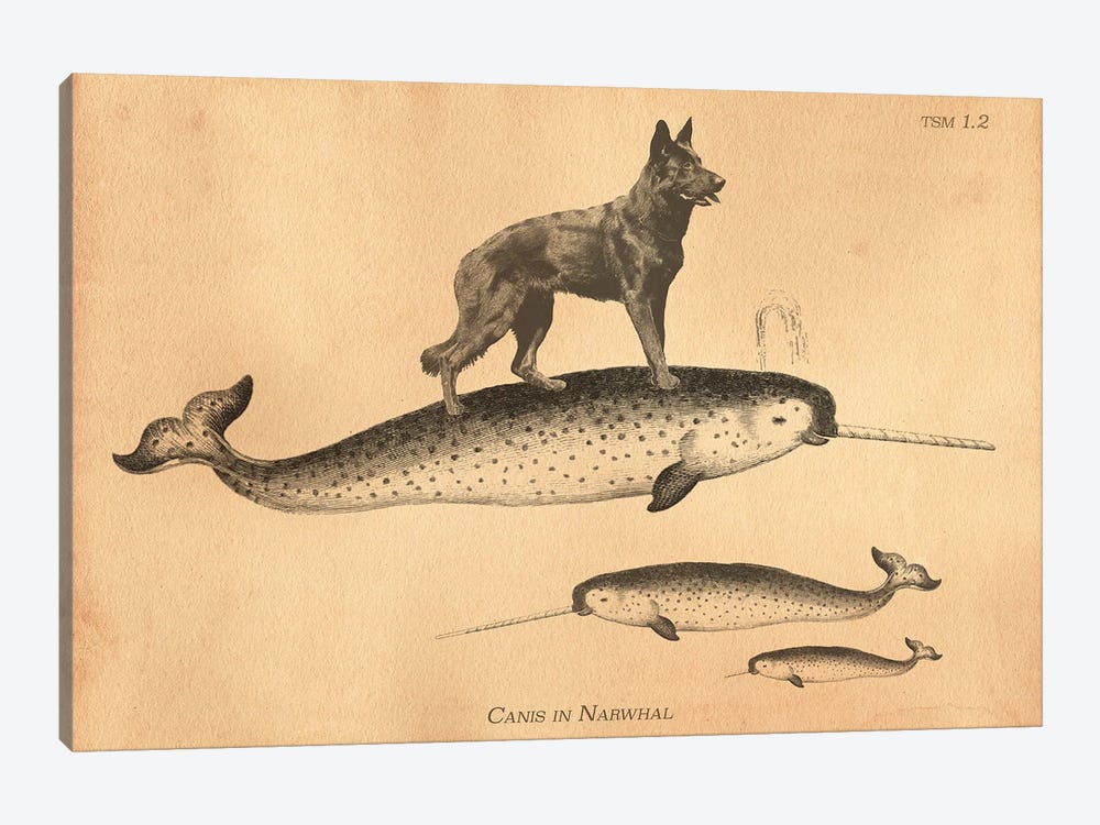 Black German Shepherd Narwhal by Tea Stained Madness 1-piece Art Print