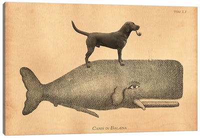 Black Lab Whale Canvas Art Print - Labrador Retriever Art
