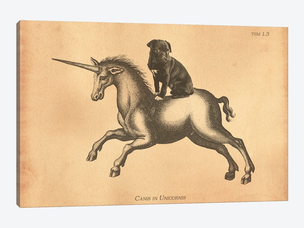 Black Pug Unicorn by Tea Stained Madness 1-piece Canvas Print