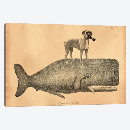 Boxer Dog Whale Canvas Print #SMD22} by Tea Stained Madness Canvas Artwork