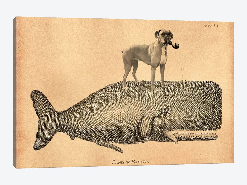 Boxer Dog Whale by Tea Stained Madness 1-piece Canvas Wall Art