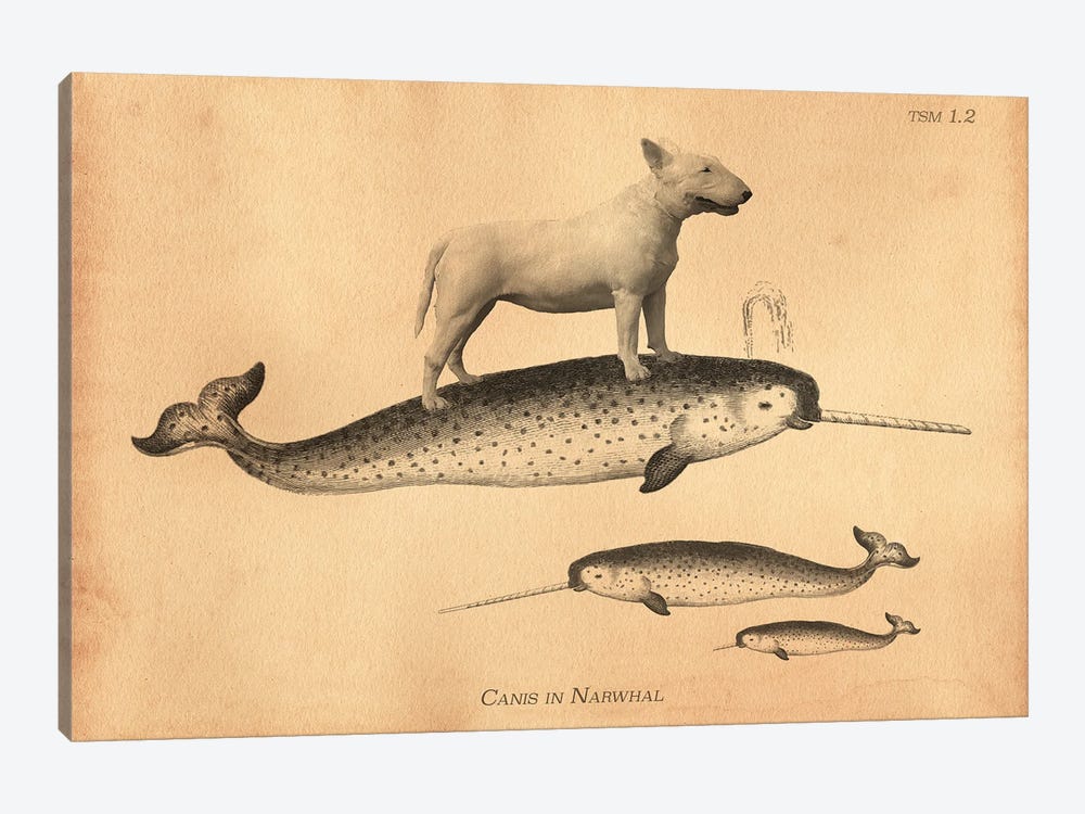 Bull Terrier Narwhal by Tea Stained Madness 1-piece Art Print