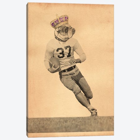 Bulldog Football Player Canvas Print #SMD26} by Tea Stained Madness Canvas Art Print