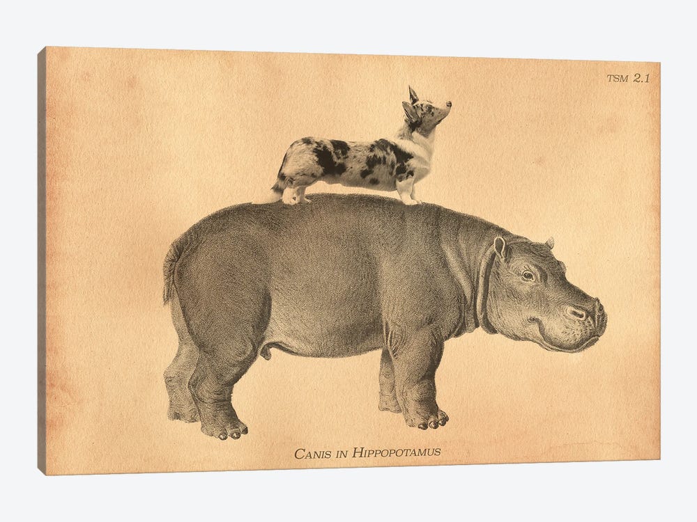 Cardigan Corgi Hippo 1-piece Canvas Art Print