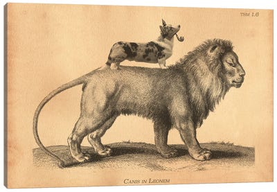 Cardigan Corgi Lion Canvas Art Print - Corgi Art