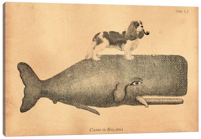 Cavalier King Whale Canvas Art Print - Tea Stained Madness