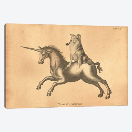 Collie Unicorn Canvas Print #SMD31} by Tea Stained Madness Canvas Print