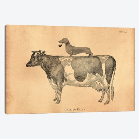 Dachshund Cow Canvas Print #SMD35} by Tea Stained Madness Canvas Artwork