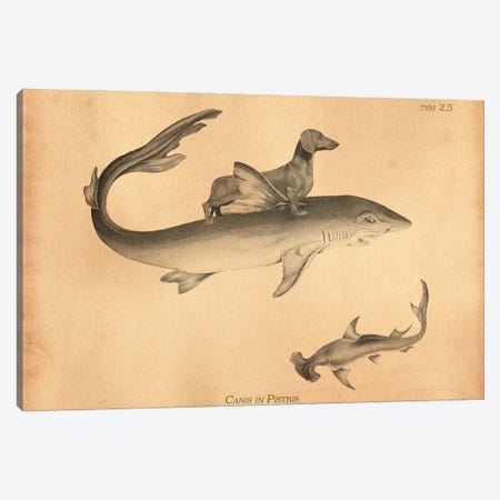Dachshund Shark Canvas Print #SMD36} by Tea Stained Madness Canvas Wall Art