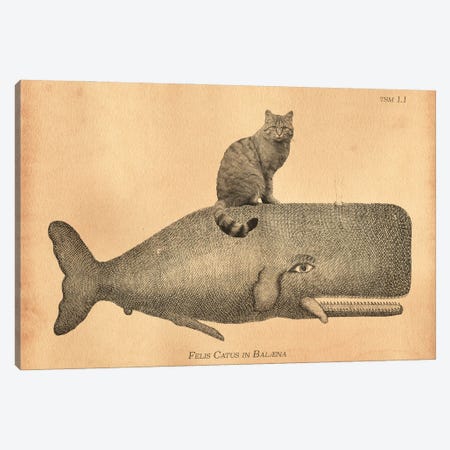Felis Silvestris Cat Whale Canvas Print #SMD41} by Tea Stained Madness Canvas Wall Art