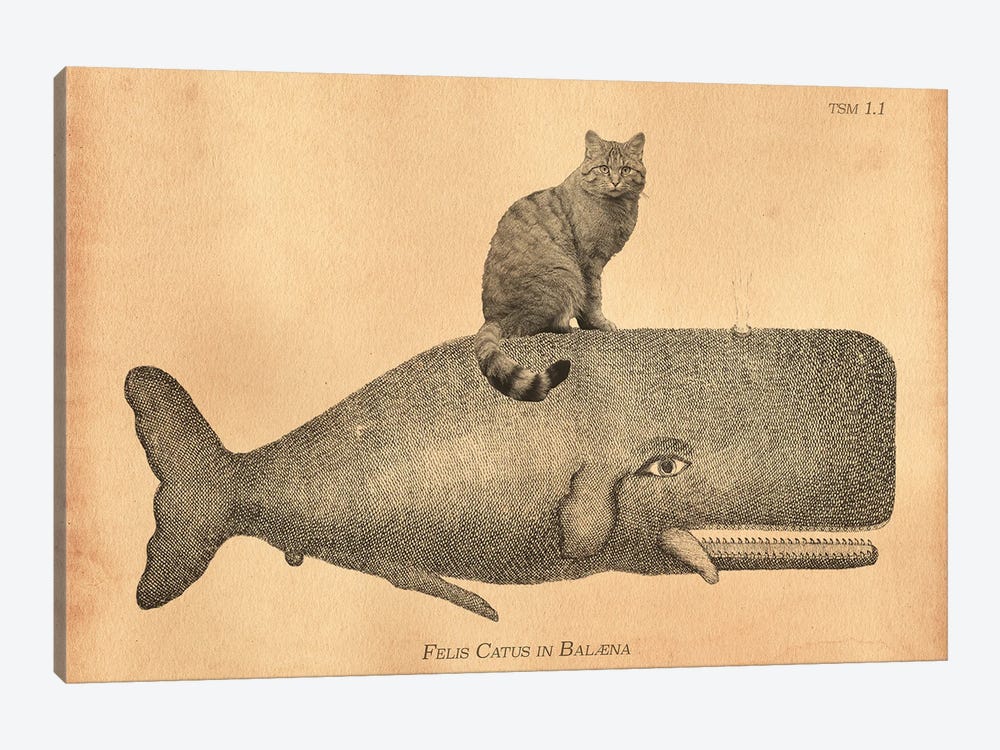 Felis Silvestris Cat Whale by Tea Stained Madness 1-piece Art Print