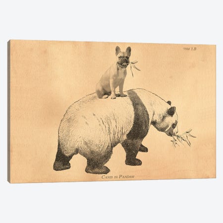 French Bulldog Panda Canvas Print #SMD42} by Tea Stained Madness Canvas Art