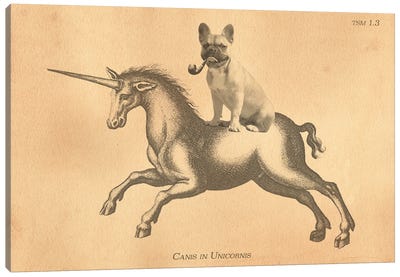 French Bulldog Unicorn Canvas Art Print - Tea Stained Madness