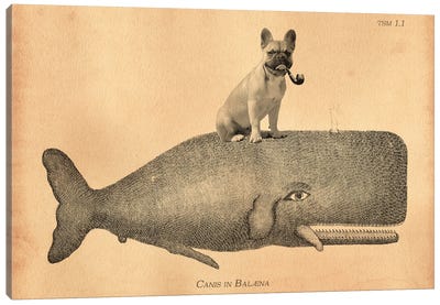French Bulldog Whale Canvas Art Print - French Bulldog Art