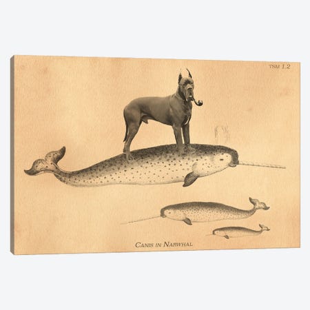 Great Dane Narwhal Canvas Print #SMD46} by Tea Stained Madness Art Print