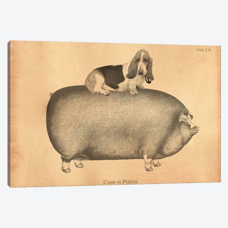 Basset Hound Riding Pig Canvas Print #SMD4} by Tea Stained Madness Canvas Wall Art