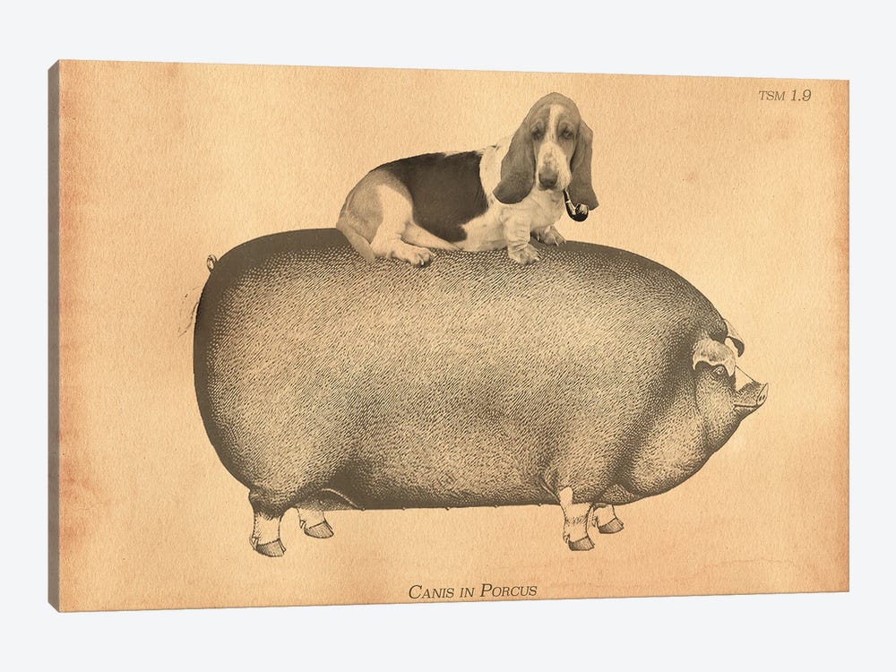Basset Hound Riding Pig by Tea Stained Madness 1-piece Canvas Wall Art