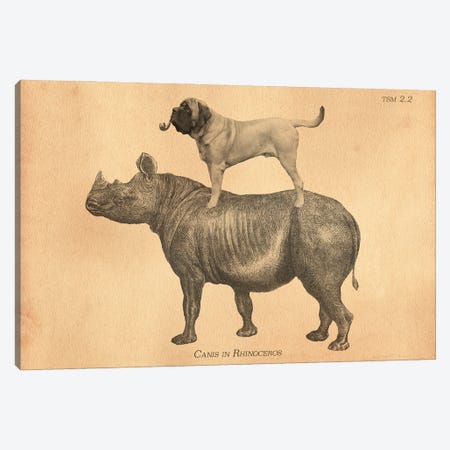Mastiff Rhino Canvas Print #SMD57} by Tea Stained Madness Canvas Wall Art