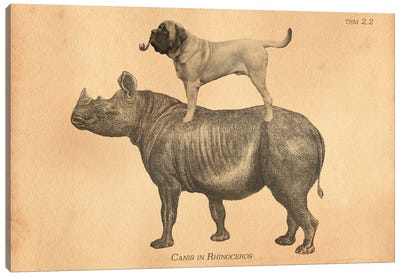 Mastiff Rhino Canvas Art Print - Tea Stained Madness