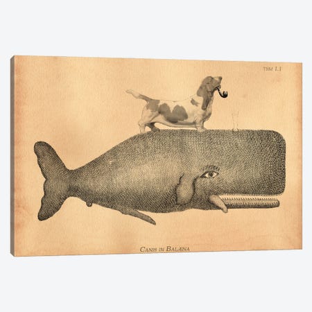 Basset Hound Riding Whale I Canvas Print #SMD5} by Tea Stained Madness Canvas Art
