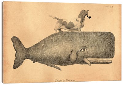 Basset Hound Riding Whale I Canvas Art Print - Kids Ocean Life Art