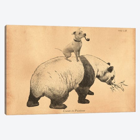 Pitbull Panda Canvas Print #SMD65} by Tea Stained Madness Canvas Print