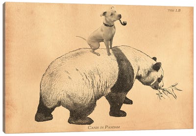 Pitbull Panda Canvas Art Print - Tea Stained Madness