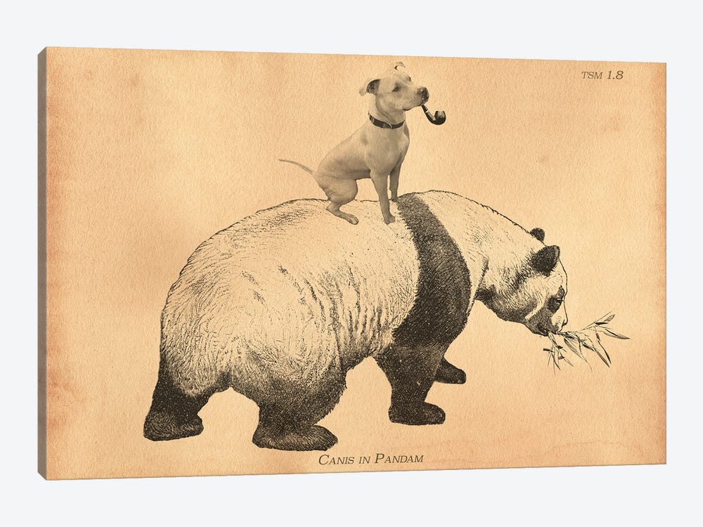Pitbull Panda by Tea Stained Madness 1-piece Art Print