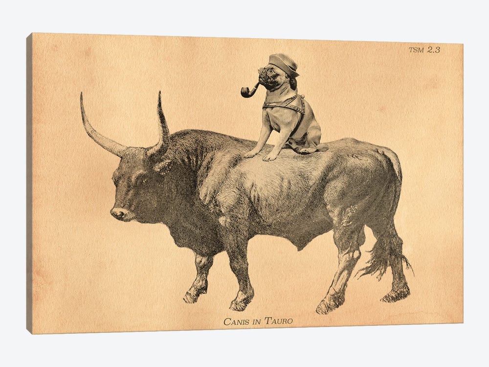 Pug Bull by Tea Stained Madness 1-piece Canvas Wall Art